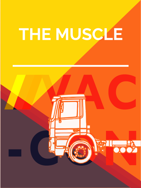 4. The Muscle